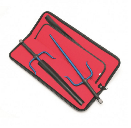 Sai Case